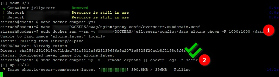 Terminal screenshot showing the 'chown' command being run via a temporary Alpine Docker container to fix permissions on the Seerr configuration folder.
